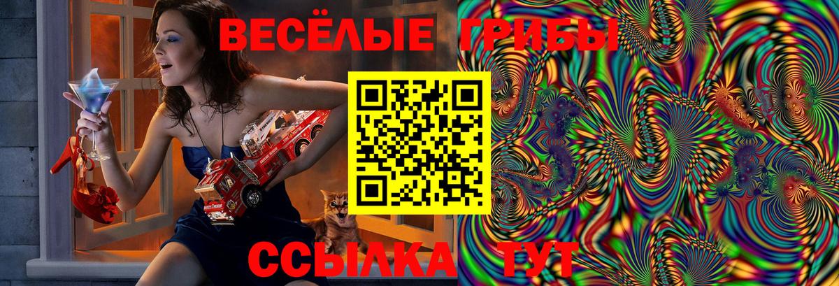 Мефедрон  Бошки Шишки  COCAIN  Апатиты  Вход с VPN  A PVP СОЛЬ   ГАШ  Меф   Сколько стоит 