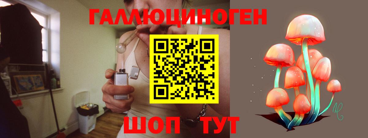 Апатиты  Псилоцибиновые грибы GOLDEN TEACHER  Галлюциногенные грибы Psilocybine cubensis  Вход с VPN 